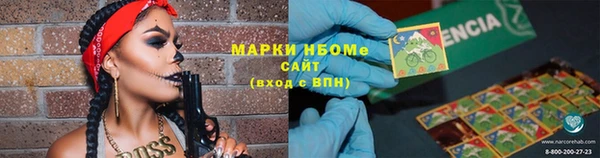 индика Орехово-Зуево