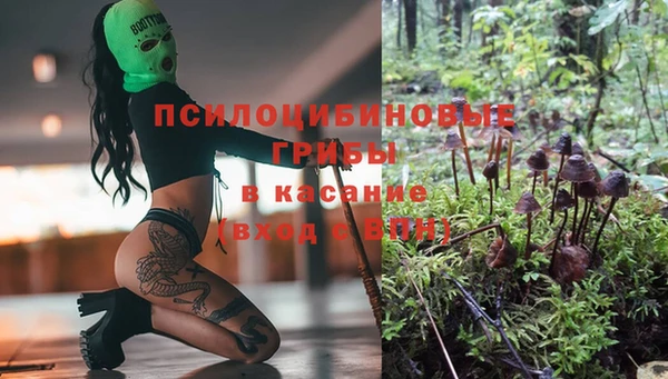 спиды Магас