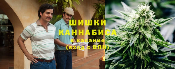 спиды Магас