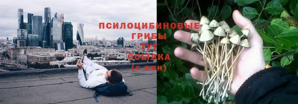 хмурый Магадан
