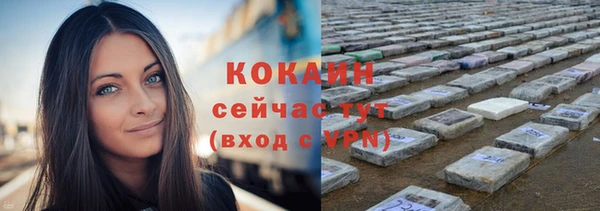 спиды Магас
