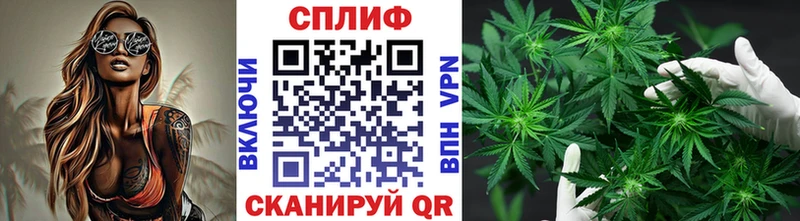 Каннабис VHQ Пятигорск